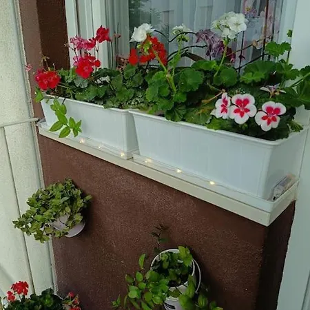 Apartmán Mary Pula